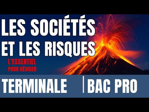 GÉO TERMINALE BAC PRO - LES SOCIÉTÉS FACE AUX RISQUES -   ANTICIPER - RÉAGIR - SE COORDONNER