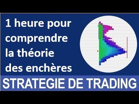 1 heure pour comprendre la théorie des enchères