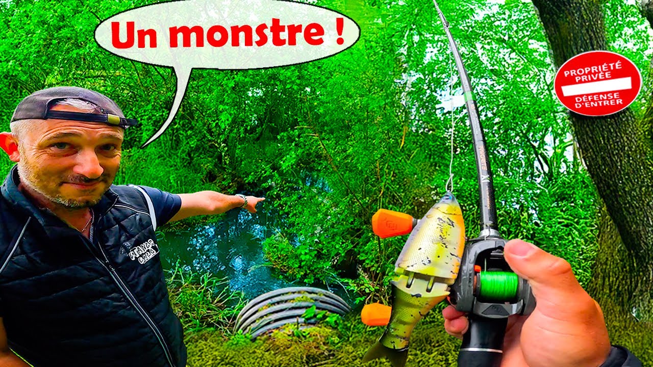 Il m’autorise à pêcher sa propriété aux leurres, j’explose mon record dedans !